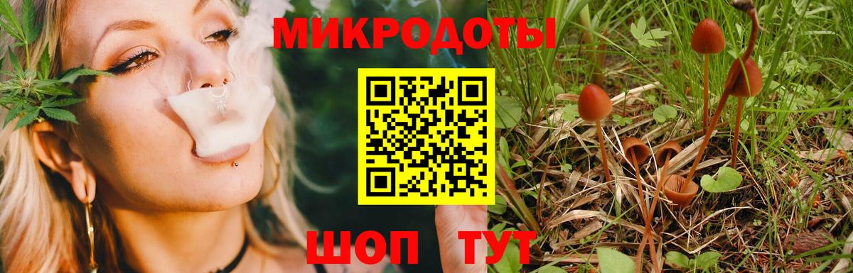 Галлюциногенные грибы GOLDEN TEACHER  Вход с VPN  Березники 